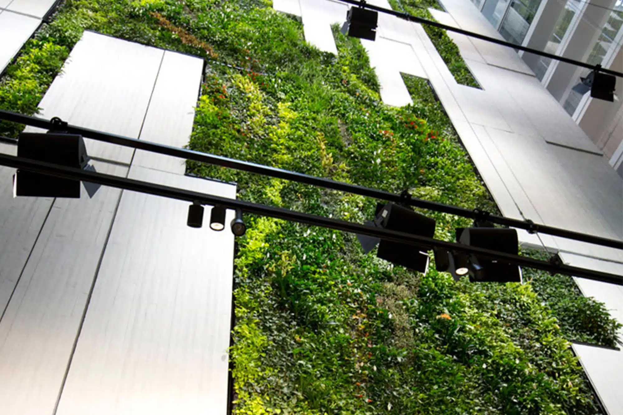 DcTech Green Roof Solutions
